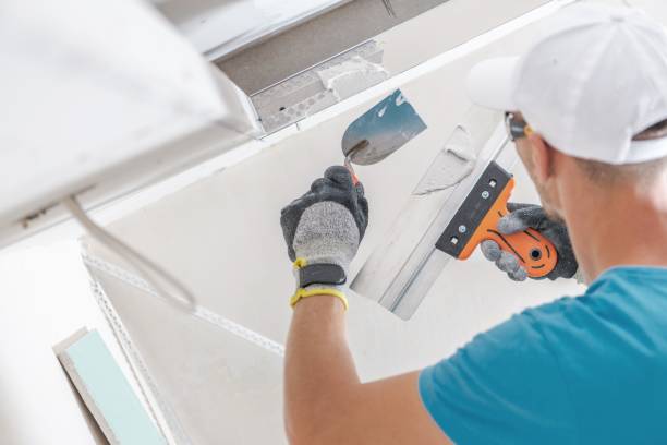 Best Drywall Removal and Disposal  in Homer, IL